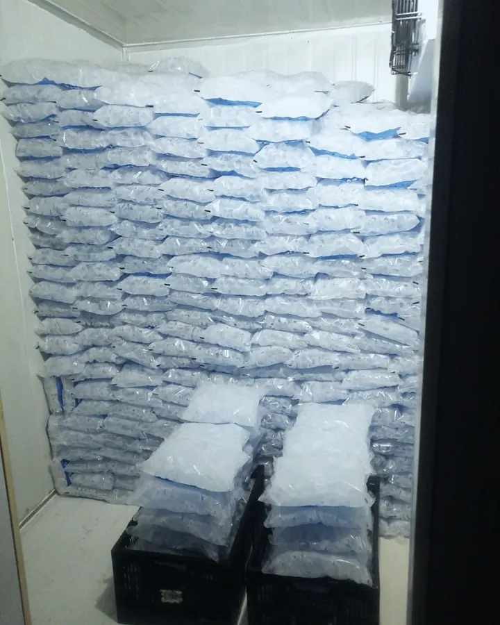 Cámara de frío llena de bolsas de hielo